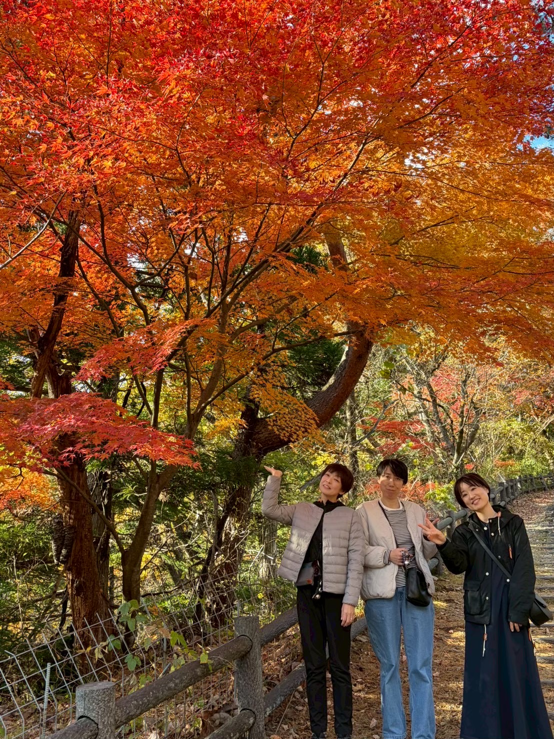展望台にて