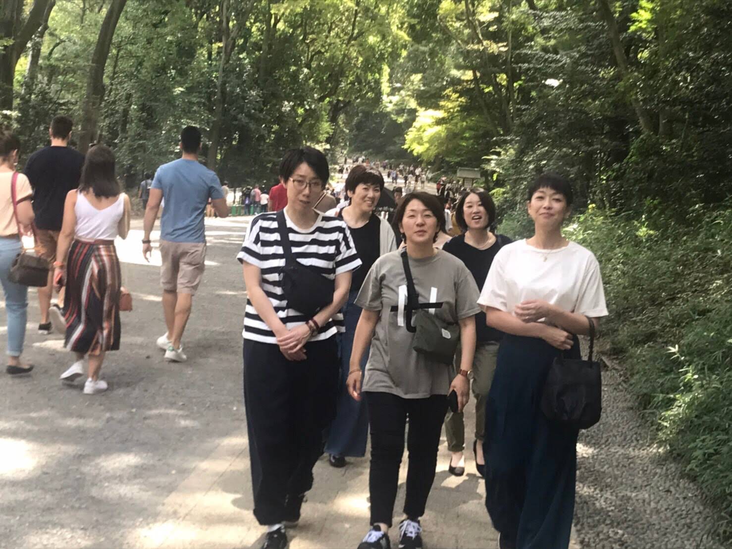 明治神宮参道